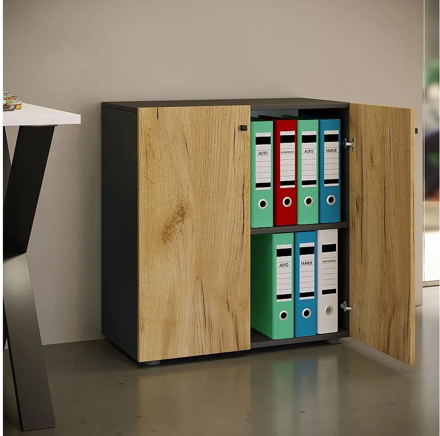 Szafka biurowa z kartoteką Lona 2-krotna