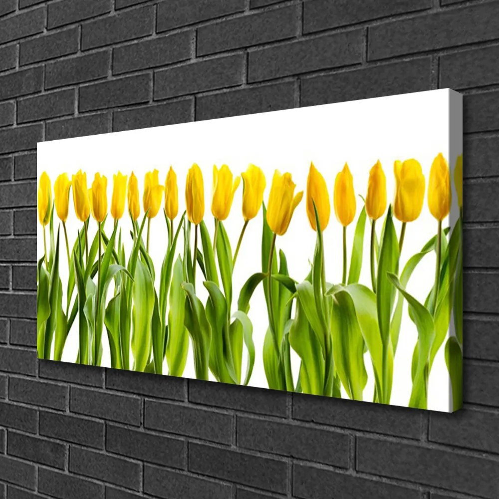 Obraz Canvas Tulipany Kwiaty Natura