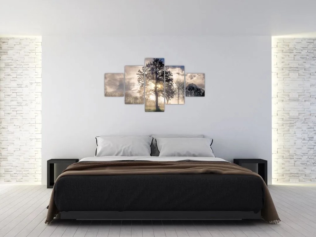Obraz drzewa we mgle (125x70 cm)