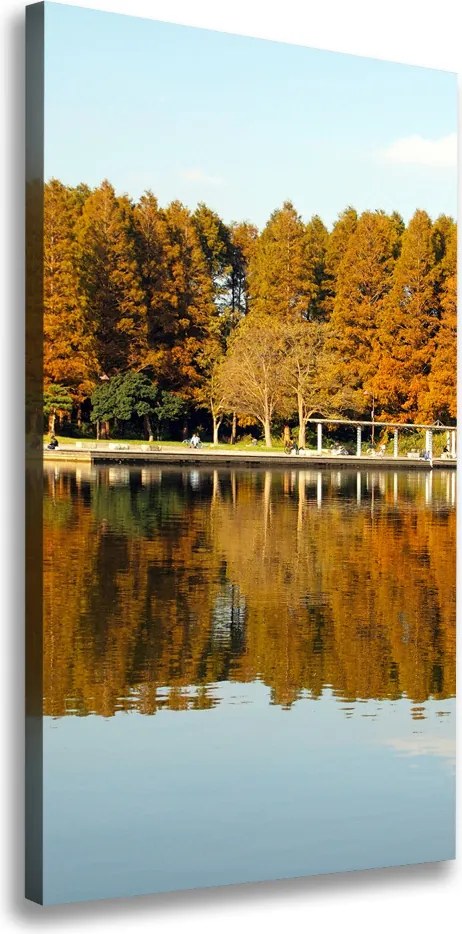 Foto obraz na płótnie pionowy Park jesienią
