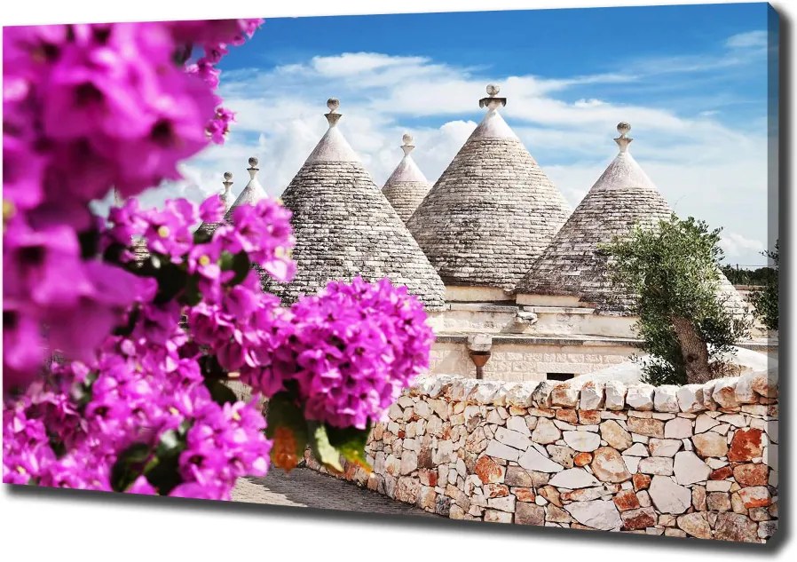 Foto obraz canvas Domy trulli