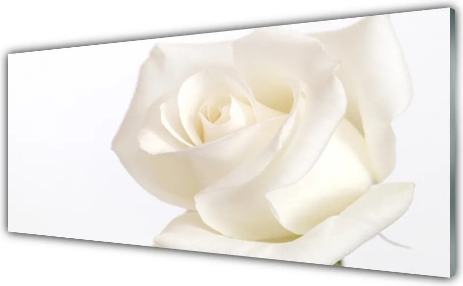 Panel nad blat kuchenny Romantyczny Bukiet Róż