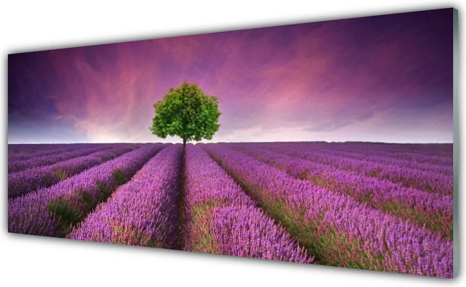 Panel Szklany Samotne Drzewo na Łące