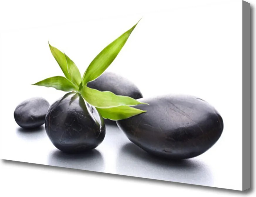 Obraz na płótnie Duet Kamienia i Liścia