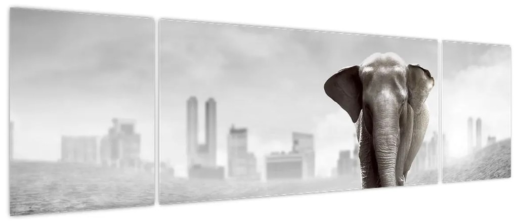 Obraz - Słonie w wielkim mieście, wersja czarno - biała (170x50 cm)
