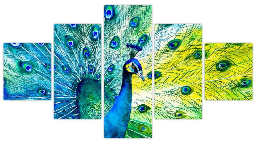 Obraz pawia (125x70 cm)