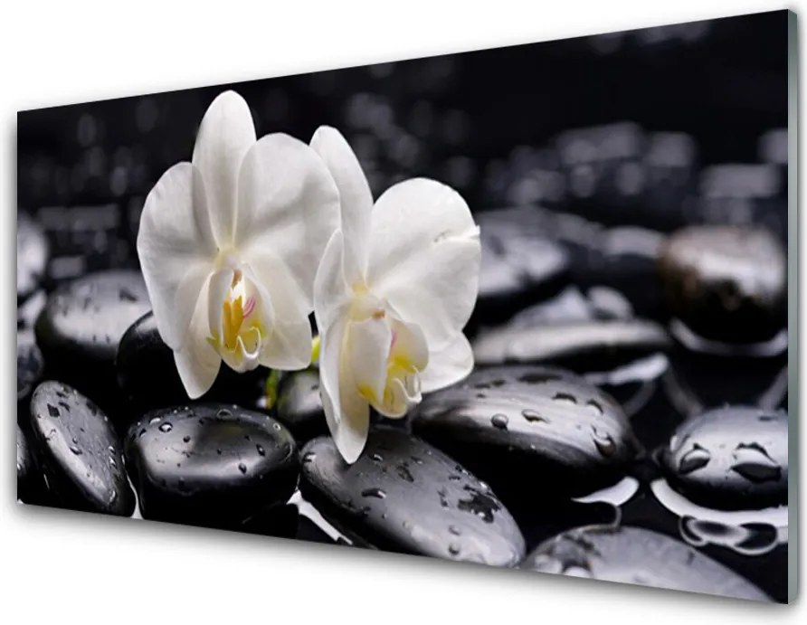 Panel Szklany do Kuchni Biały Storczyk w Klimacie Zen