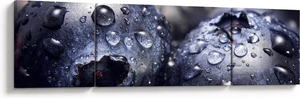 Obraz owoców z kroplami wody (170x50 cm)