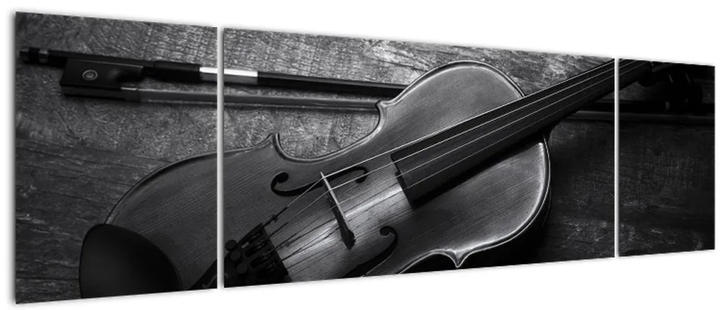 Obraz - Altówka (170x50 cm)