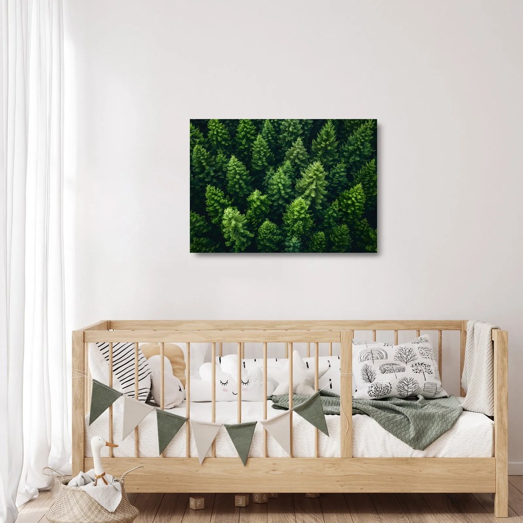 Obraz na szkle - Las (70x50 cm)