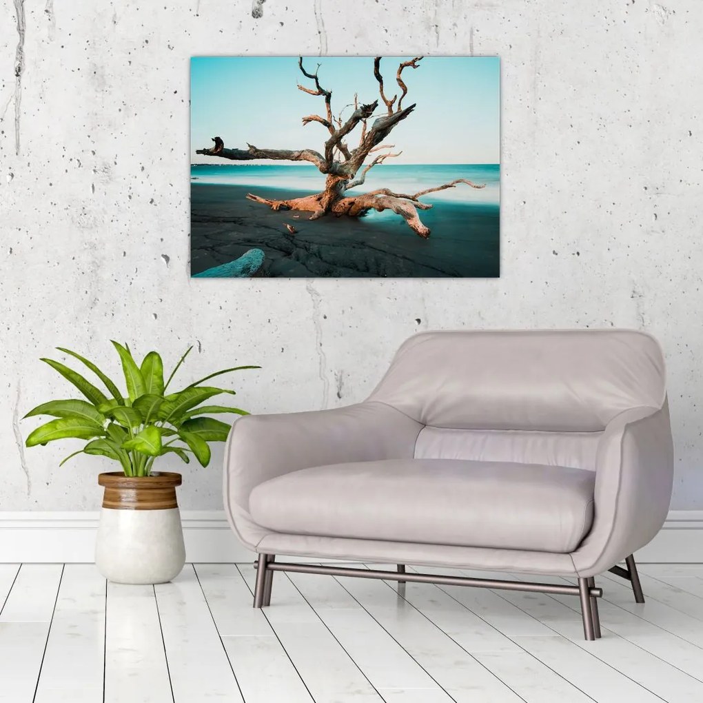 Obraz na szkle -  Wyłowiono na plaży (70x50 cm)