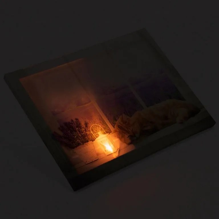 Obraz podświetlany - Fototapeta kot, 1 LED, 30 x 40 cm