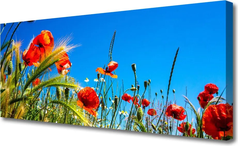 Obraz canvas Polna Łąka Pełna Maków