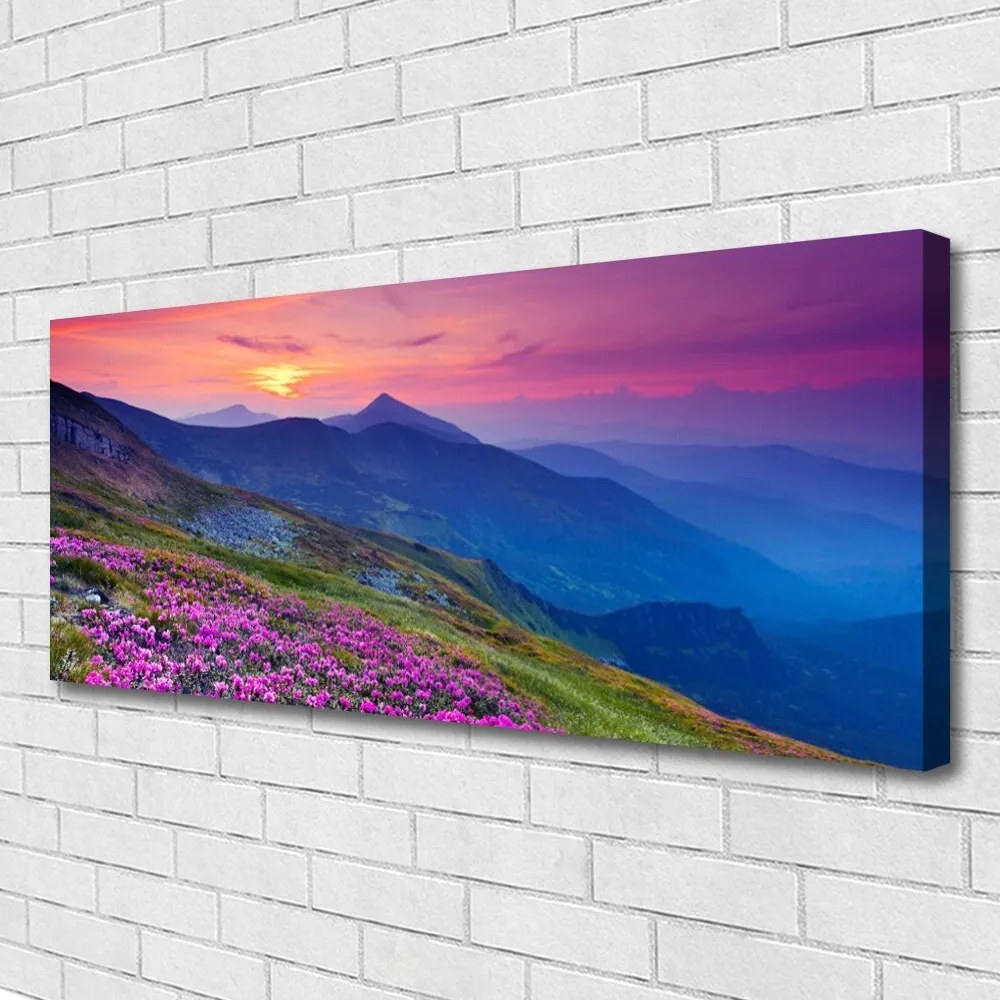 Obraz canvas na ścianę Panorama Górskiej Polany