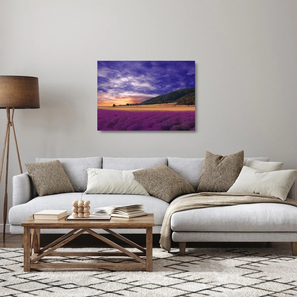 Obraz na szkle lawendowej łąki (70x50 cm)