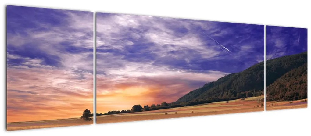 Obraz lawendowej łąki (170x50 cm)