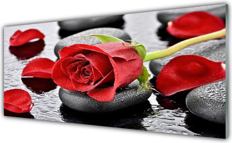 Szkło Ozdobne do Kuchni Królowa Ogrodów: Czerwona Róża