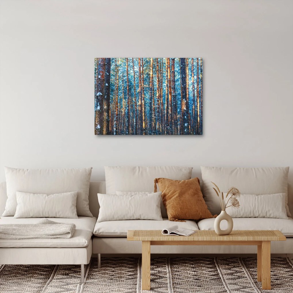 Obraz - Zimowy las (70x50 cm)