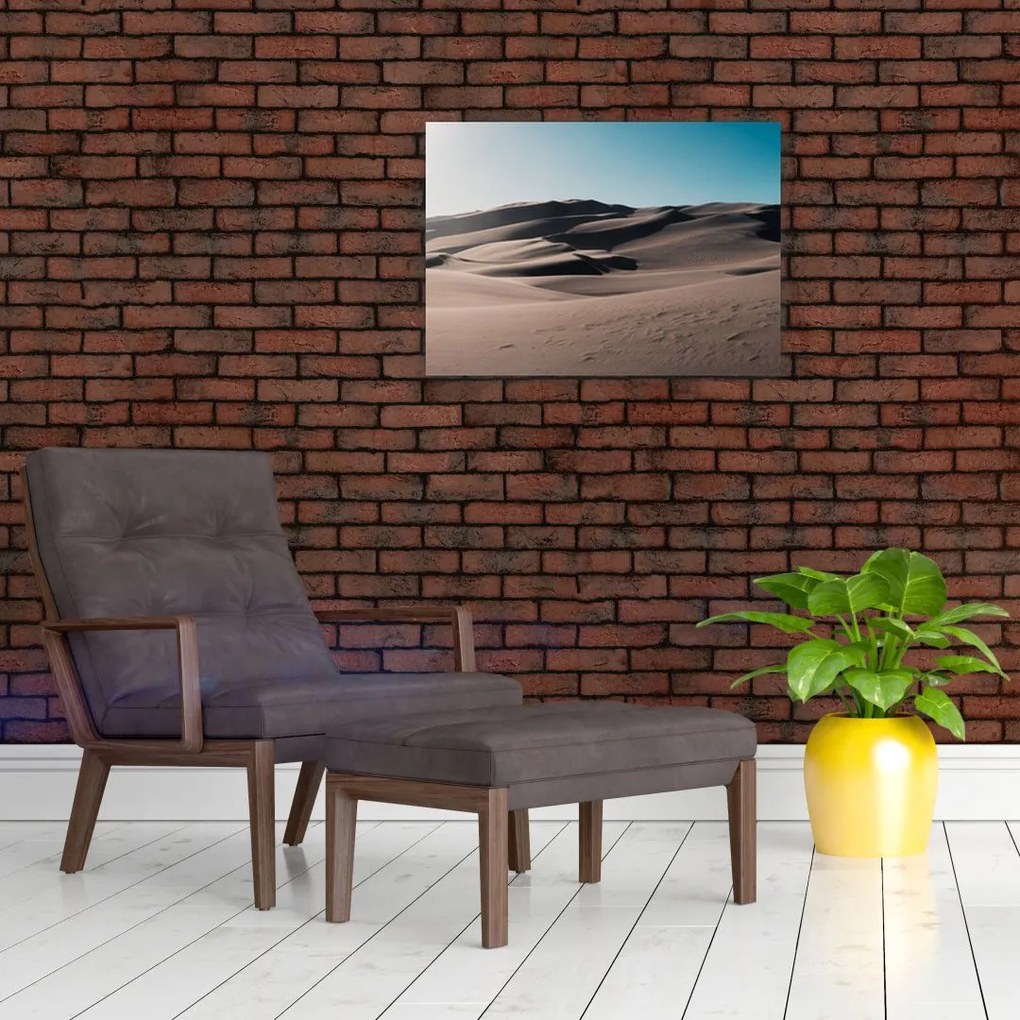 Obraz - Z pustyni (70x50 cm)