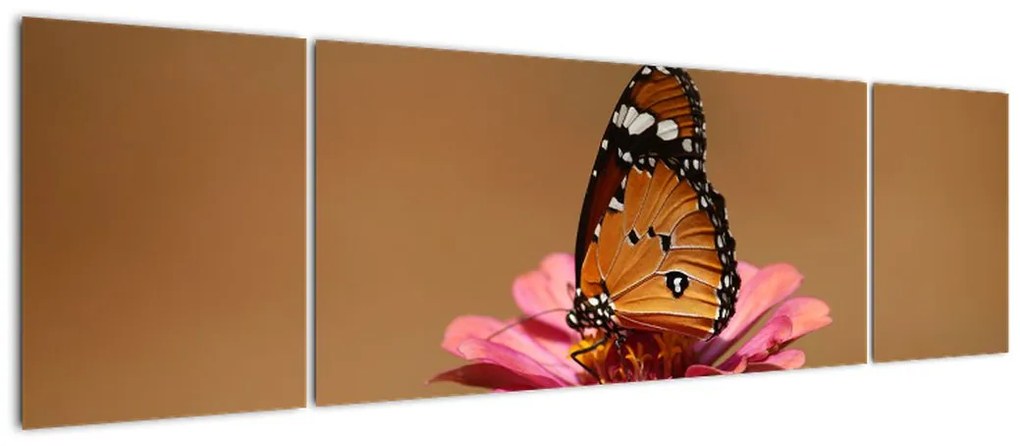 Obraz motyla na kwiatku (170x50 cm)