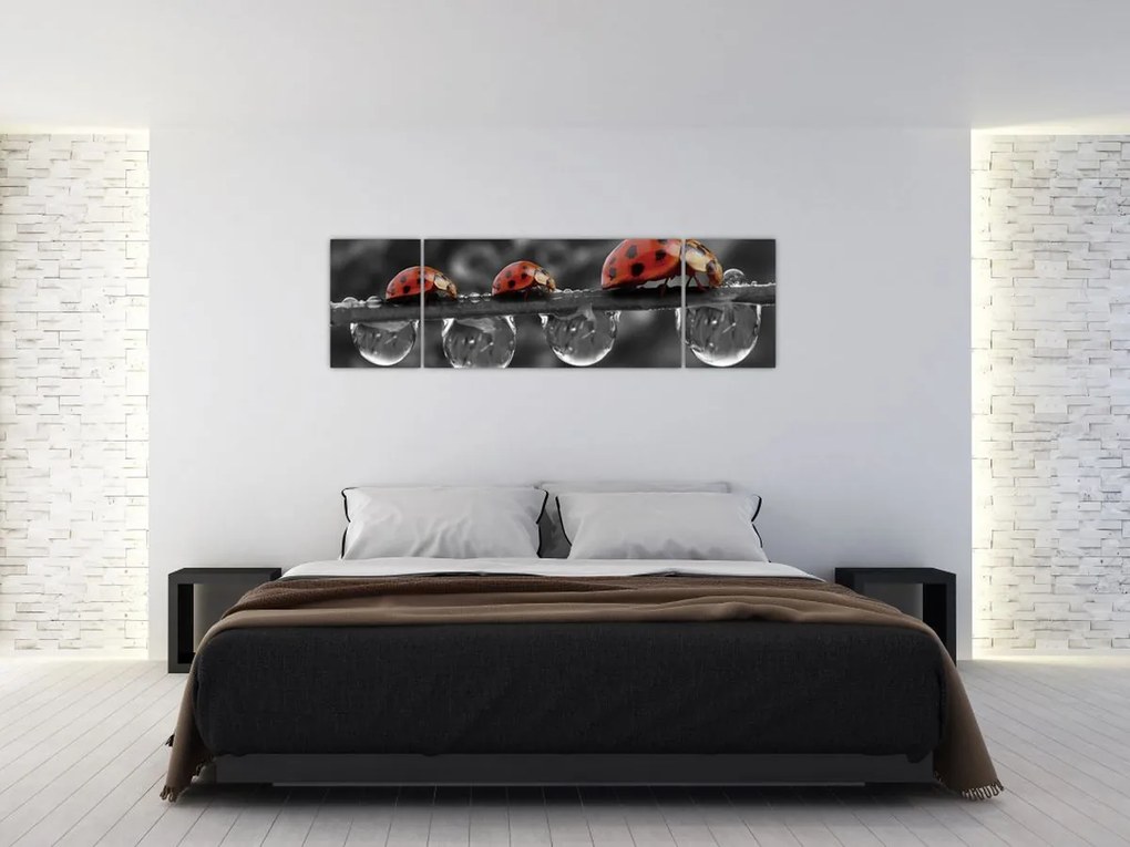 Obraz - Słonecznik, czarno-biały (170x50 cm)