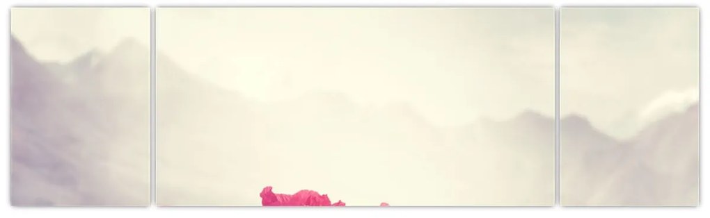 Obraz - Maki (170x50 cm)