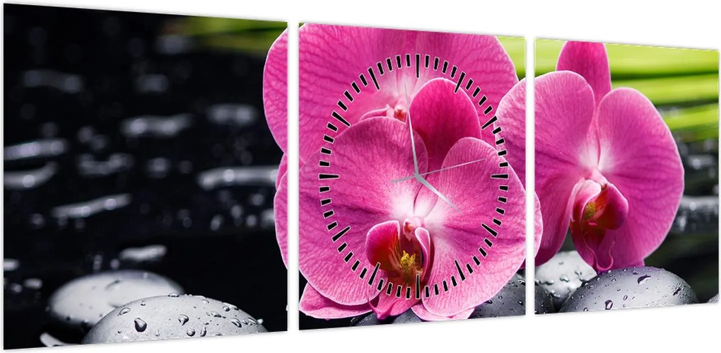 Obraz - Różowe orchidee z liściem palmy (z zegarem) (90x30 cm)
