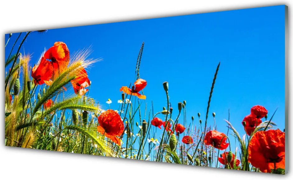 Szkło Dekoracyjne do Kuchni Polna Łąka Pełna Maków