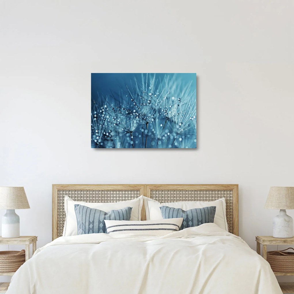 Obraz na szkle - Krople rosy (70x50 cm)