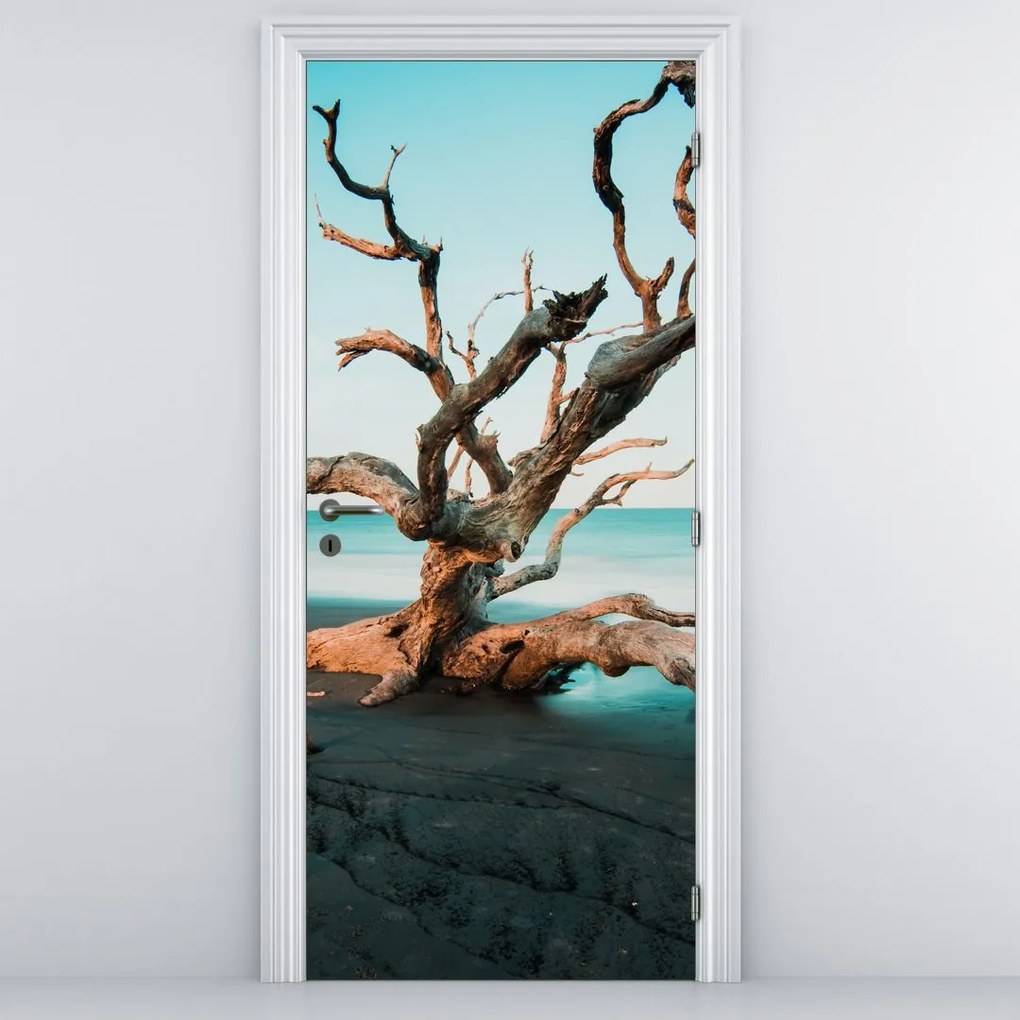 Fototapeta na drzwi - Wypłynęło na plaży (95x205cm)
