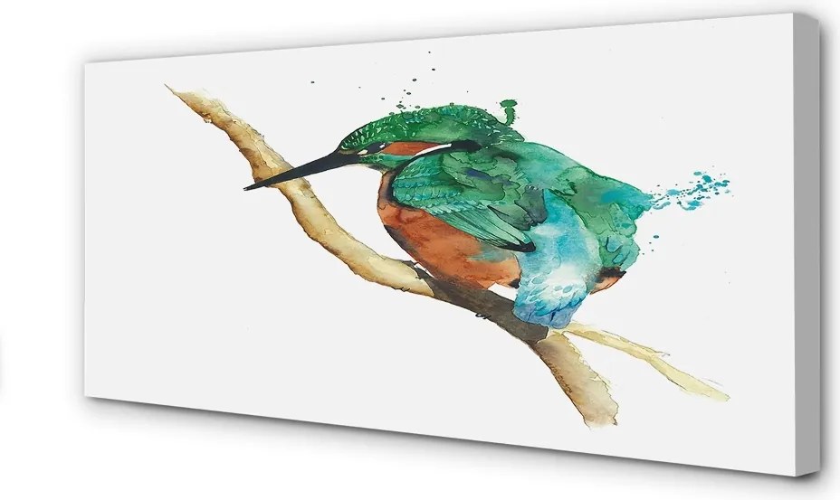 Zdjęcie na płótnie Malowana Kolorowa Papuga