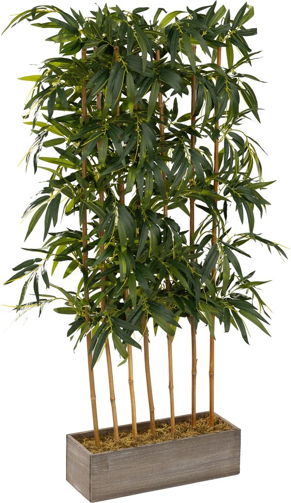 Bambus w dekoracyjnej skrzyni 155 cm