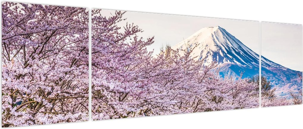 Obraz - Japonia wiosną (170x50 cm)