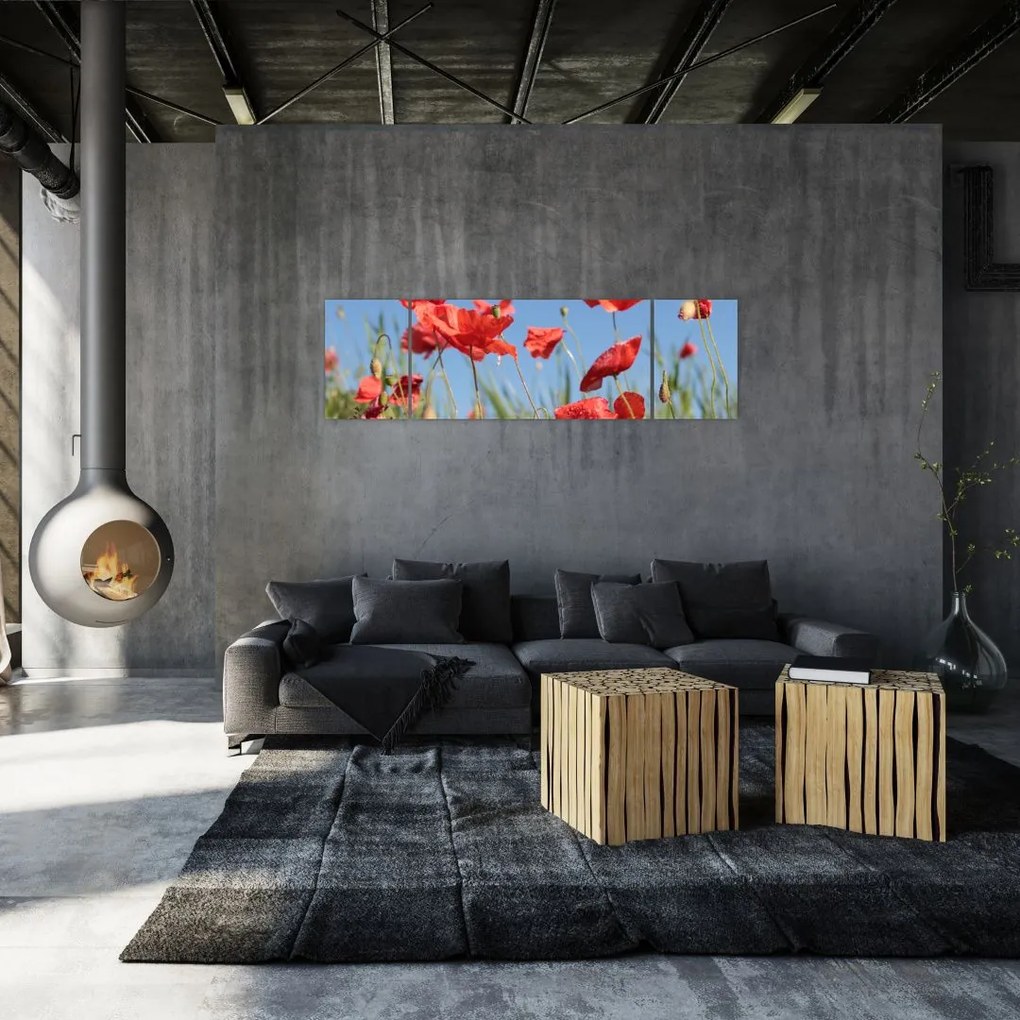 Obraz - Maki (170x50 cm)