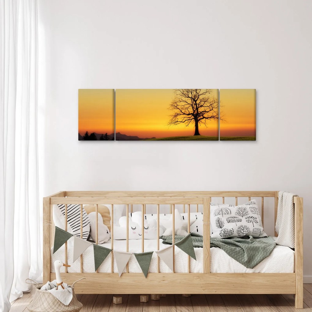 Obraz drzewa na polu (170x50 cm)