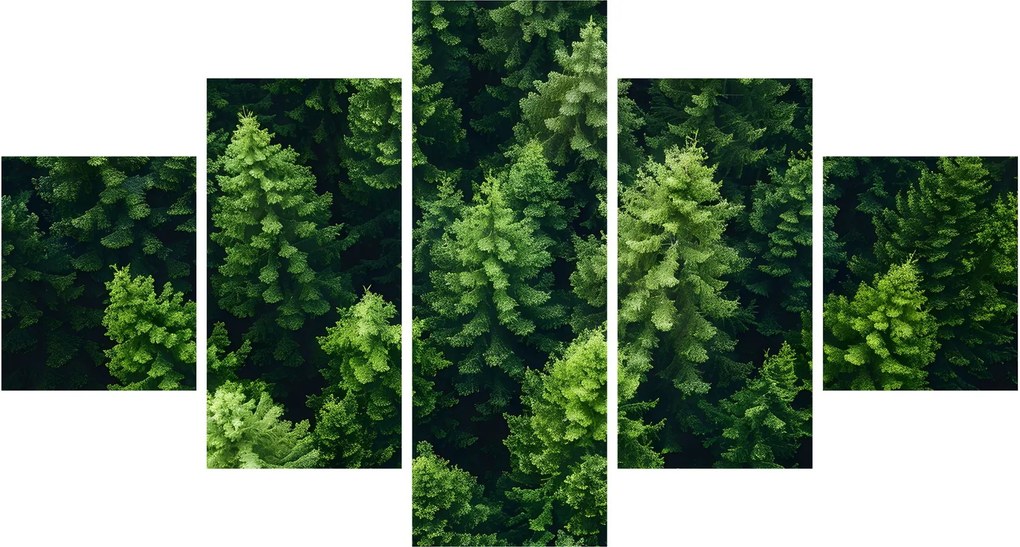 Obraz - Las (125x70 cm)