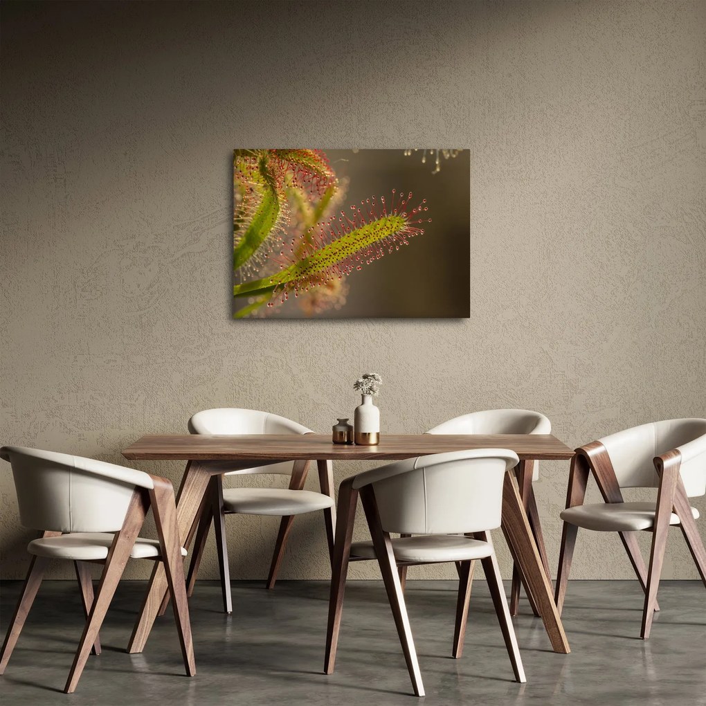 Obraz rośliny (70x50 cm)