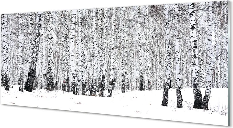Szklany Panel Zimowy Las Brzozowy