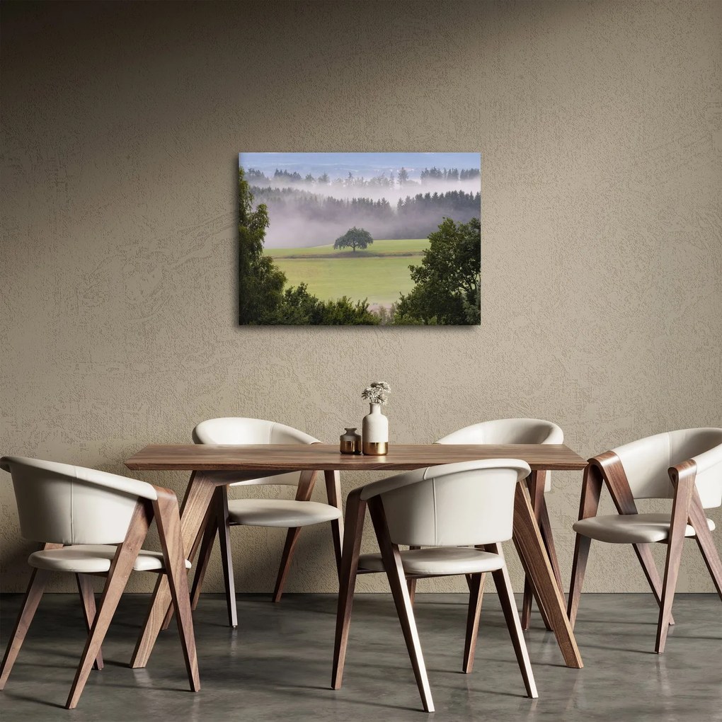 Obraz łąki z drzewem (70x50 cm)