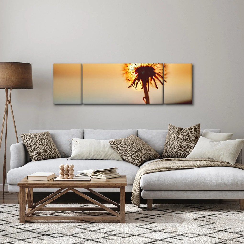 Obraz dmuchawca o zachodzie słońca (170x50 cm)