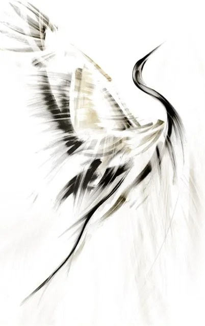 Obraz na płótnie Tancerz, Seria Złota Premium