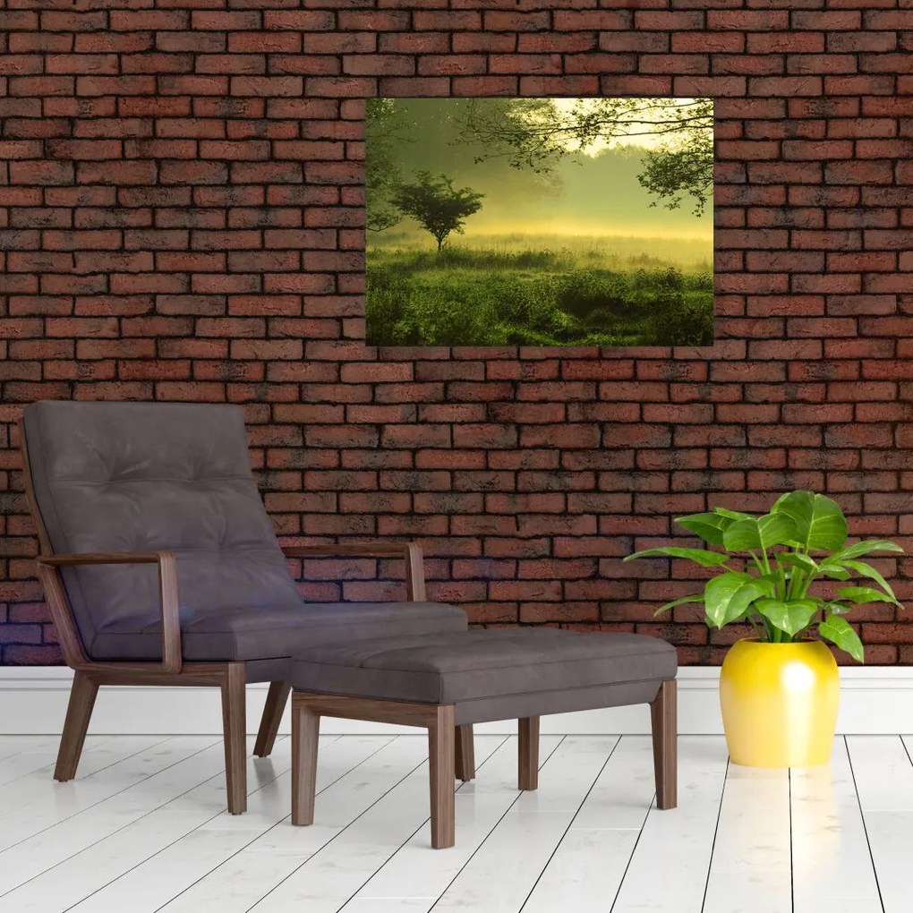 Obraz - Budzący się las (70x50 cm)