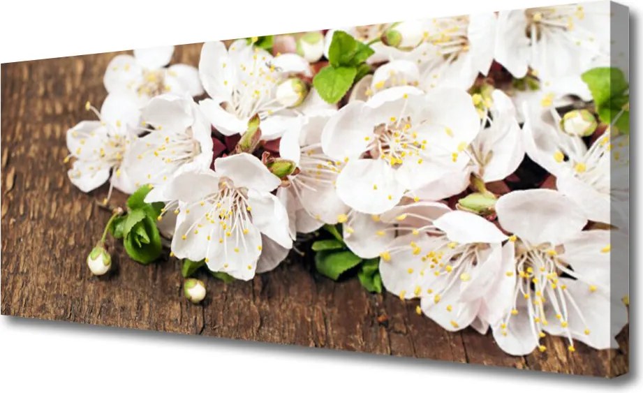 Obraz canvas Rozkwitający Ogród Botaniczny