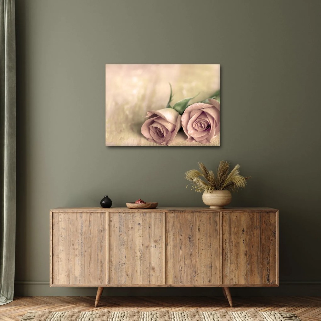 Obraz - Delikatne róże (70x50 cm)