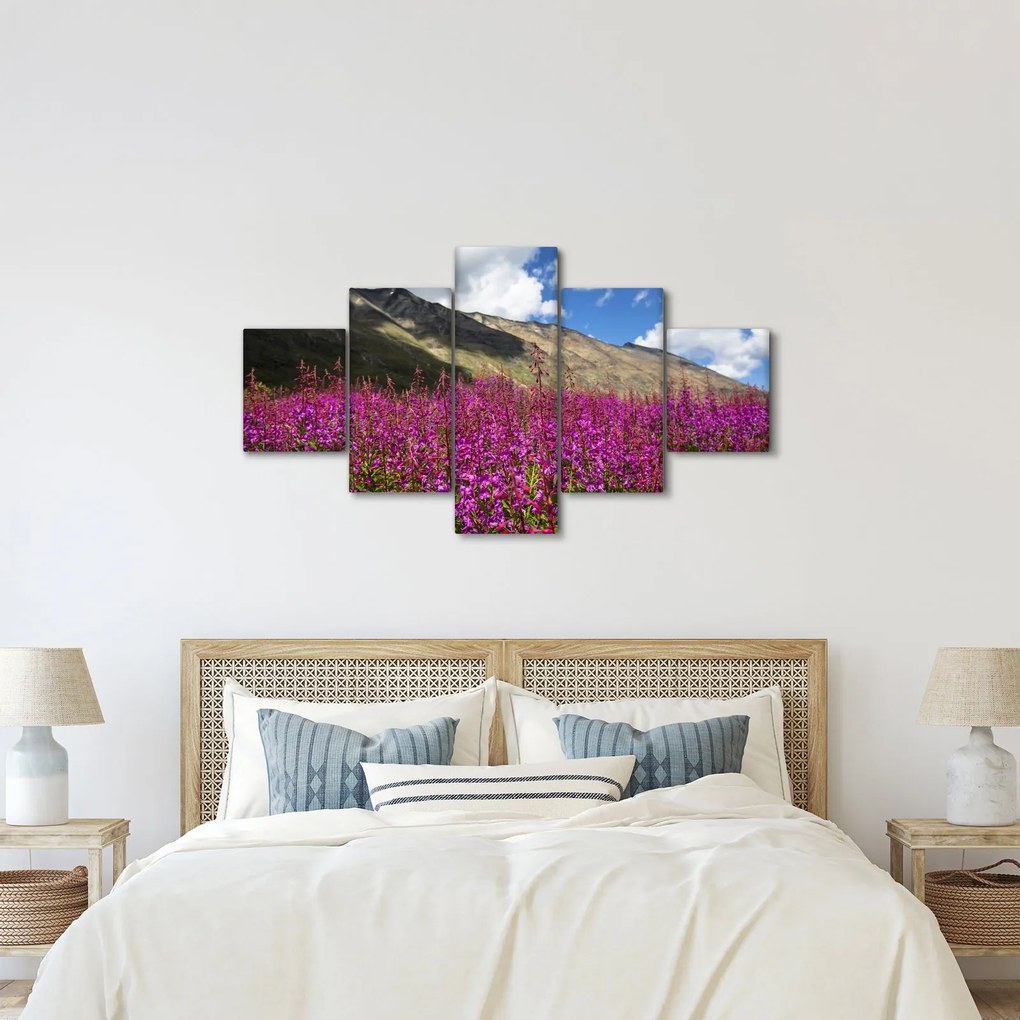 Obraz scenerii łąki górskiej (125x70 cm)
