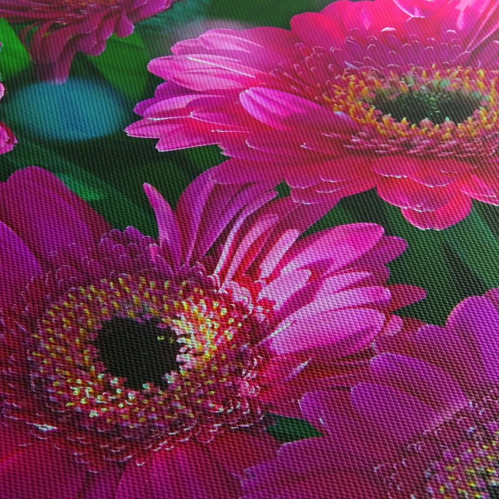 Obraz - kwiaty (170x50 cm)