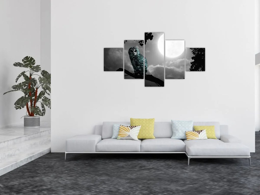 Obraz - Nocna sowa, niebieski (125x70 cm)