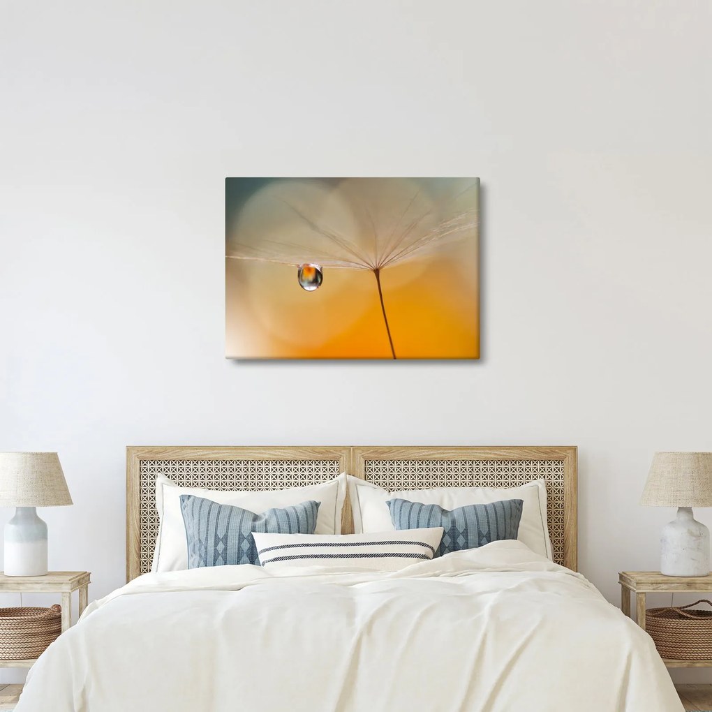 Obraz - Makro kwiat (70x50 cm)