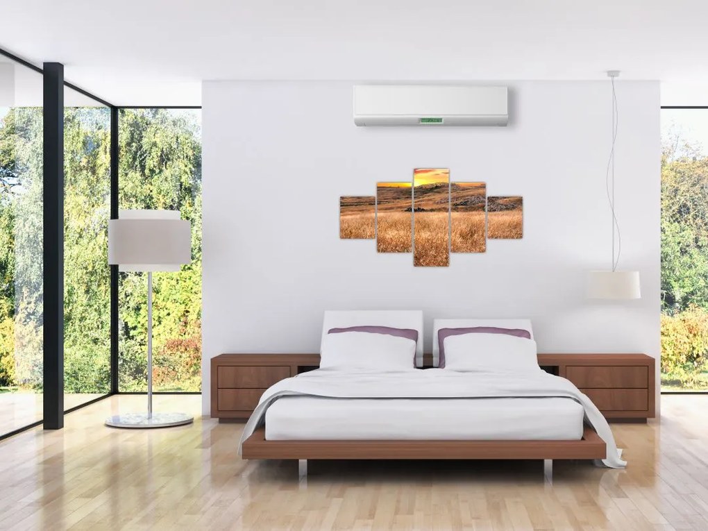 Obraz pola (125x70 cm)