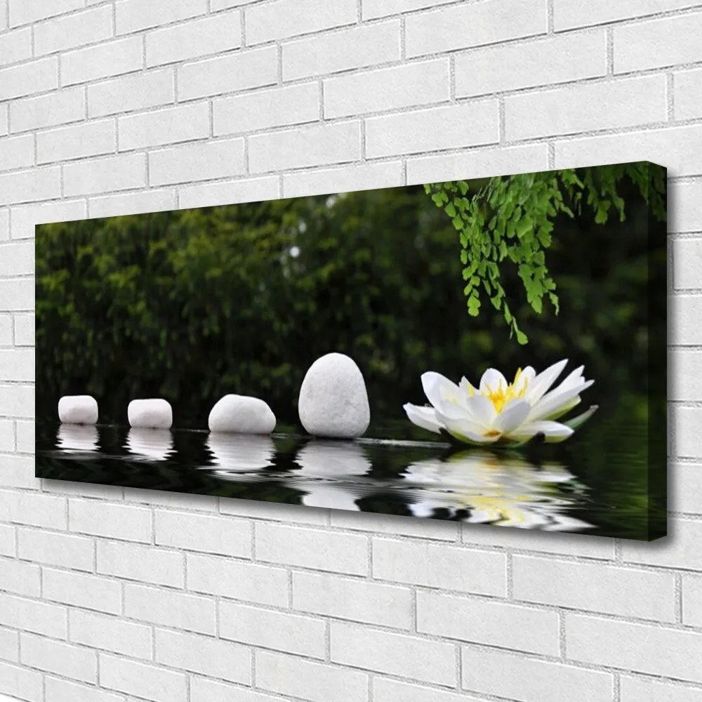 Zdjęcie na płótnie Lilia Wodna na Jeziorze